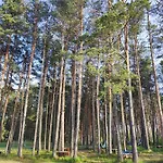 Sielsko Anielsko -domki