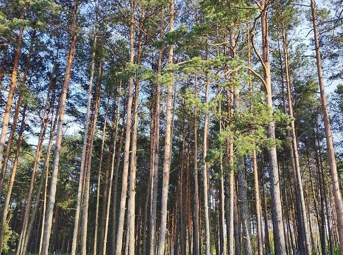 Sielsko Anielsko -domki