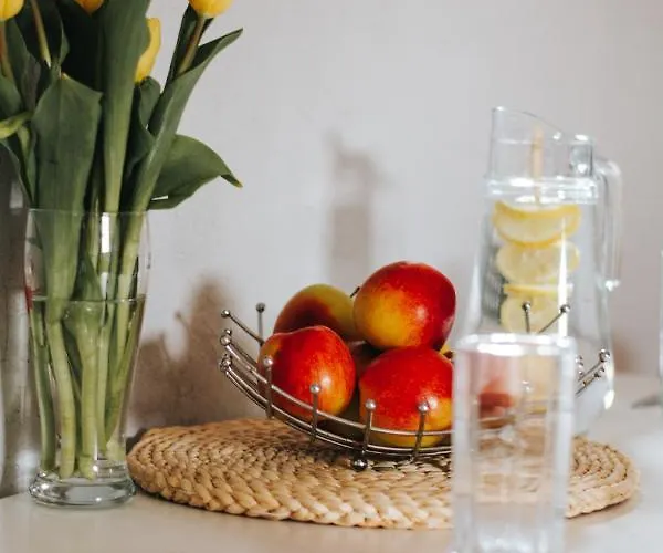 Sielsko Anielsko -domki Дом отдыха